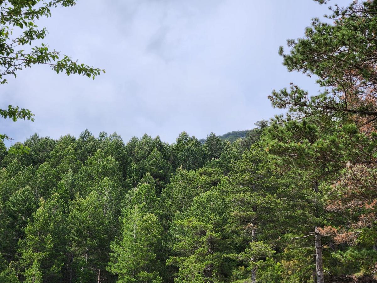Llogora Dervishaliu Hotel Llogara National Park ภายนอก รูปภาพ